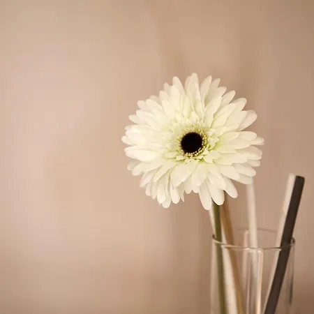 Guest house Bariis Apulian Relax