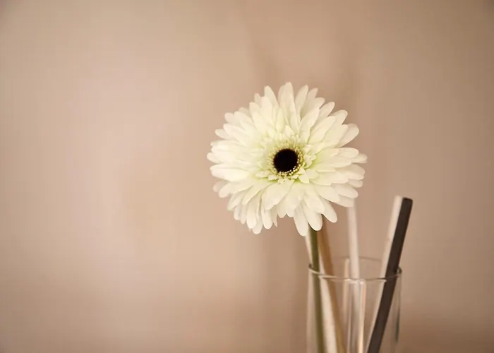 Gasthuis Bariis Apulian Relax