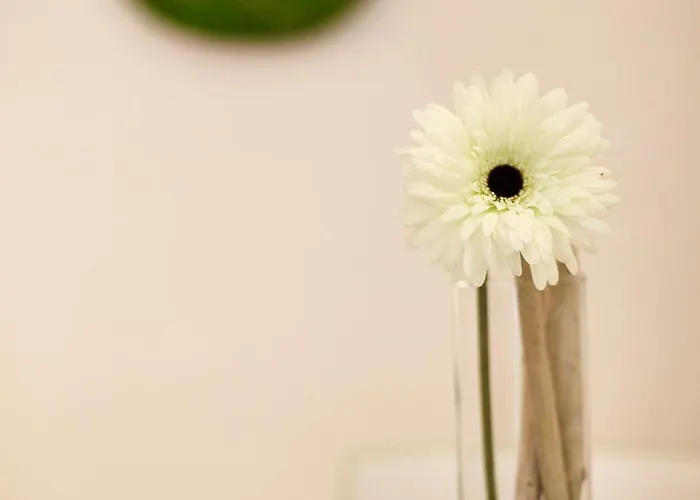 Gasthuis Bariis Apulian Relax 3*